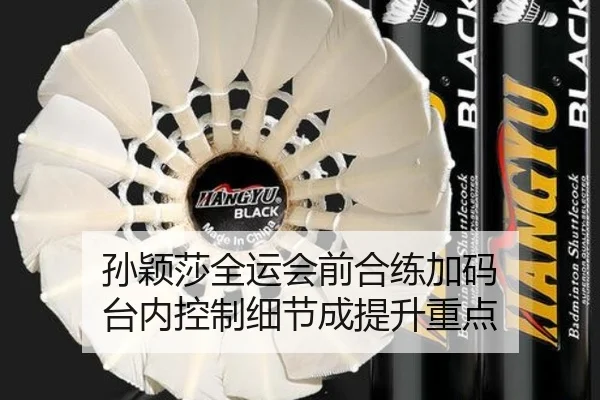 孙颖莎全运会前合练加码 台内控制细节成提升重点